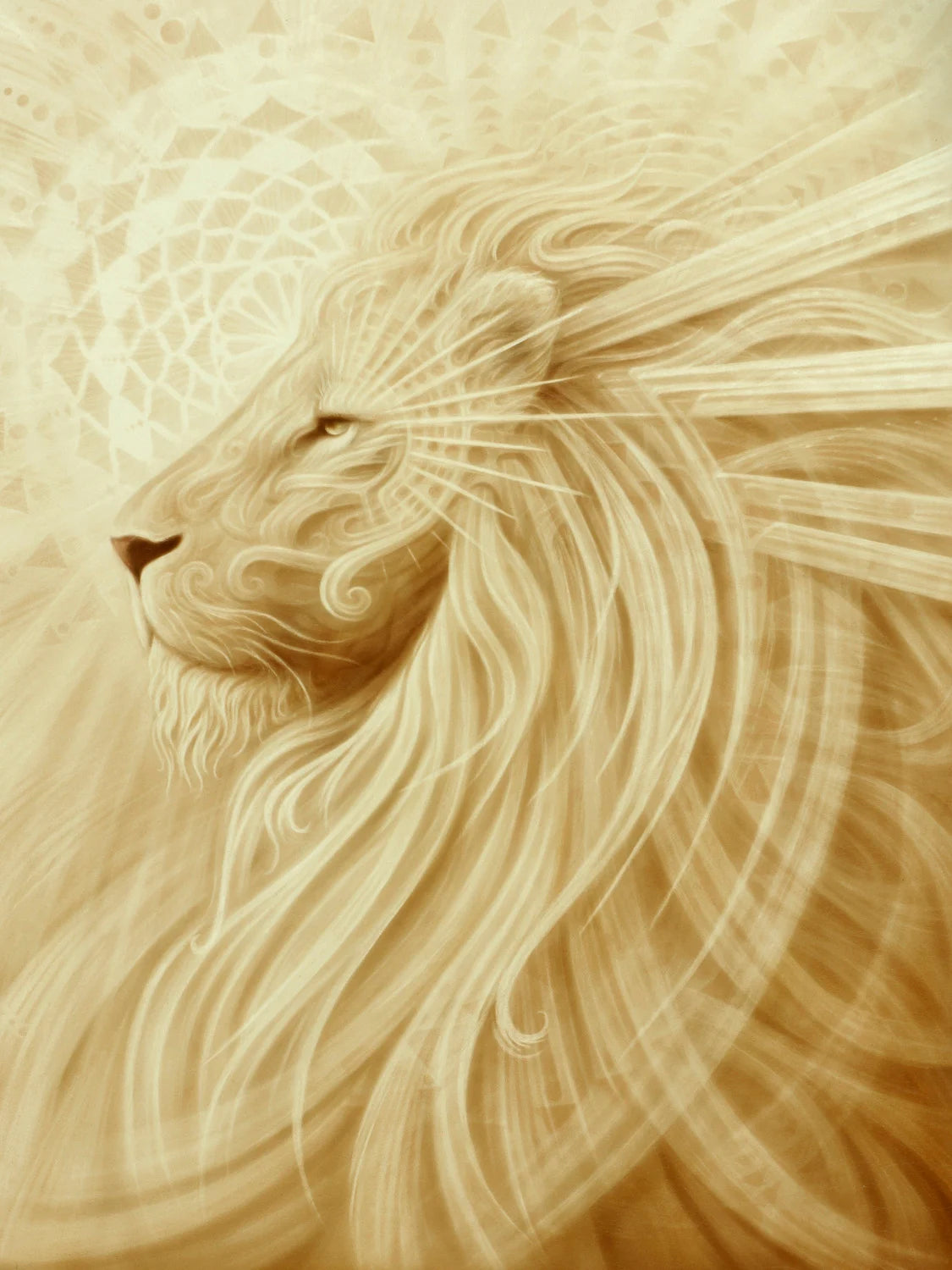Animales de Poder : Leona/león