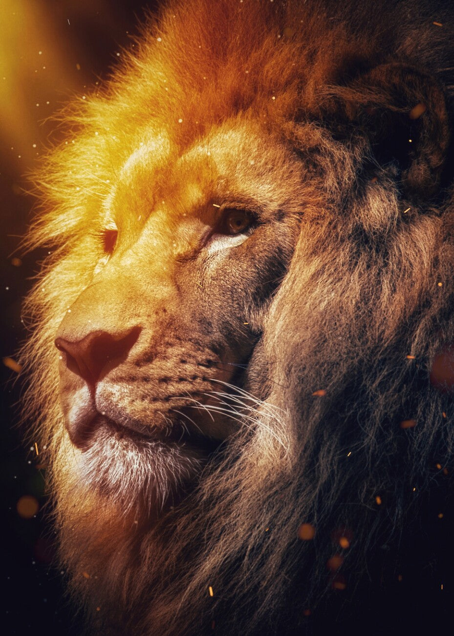 Animales de Poder : Leona/león