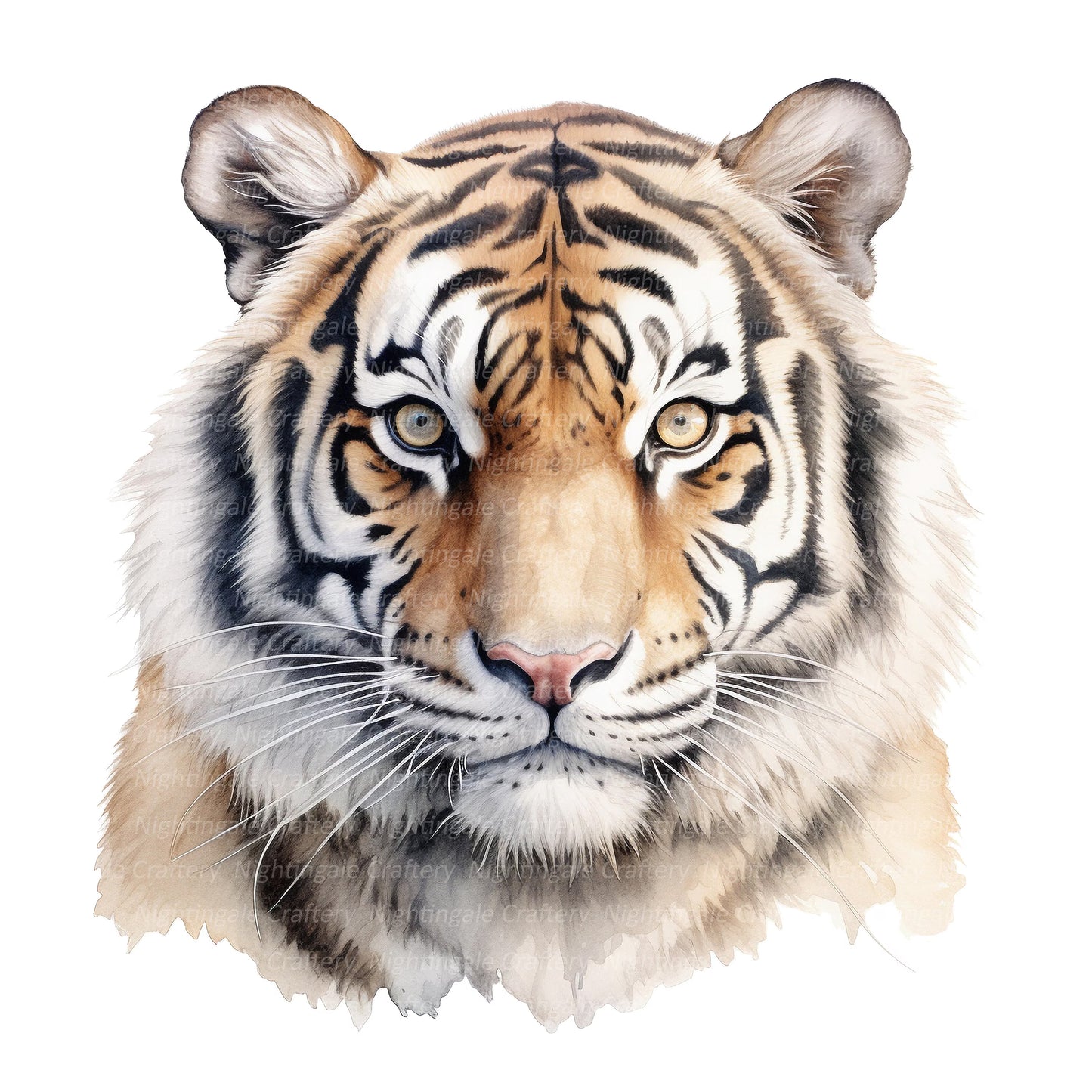 Animales de Poder : Tigre